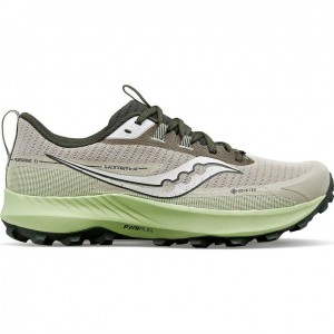 Saucony Peregrine 13 GTX Men's Running Shoes Grey / Mint | CANADA GDWMCJS