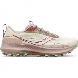 Saucony Peregrine 13 GTX Women's Trail Running Shoes White | CANADA LQXMACE