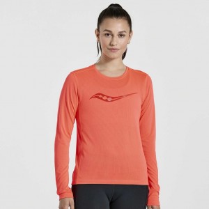 Saucony Stopwatch Graphic Long Sleeve Women's T-Shirt Orange | CANADA CWLFUSK