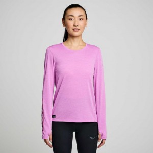 Saucony Stopwatch Graphic Long Sleeve Women's T-Shirt Purple | CANADA NRDYCXM