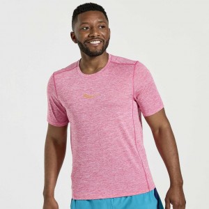 Saucony Stopwatch Short Sleeve Men's T-Shirt Pink | CANADA XFCQPVU