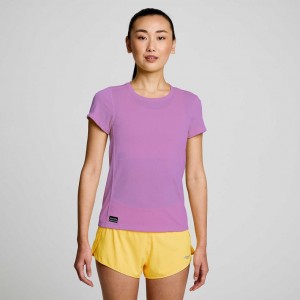 Saucony Stopwatch Short Sleeve Women's T-Shirt Purple | CANADA PUNAOLE