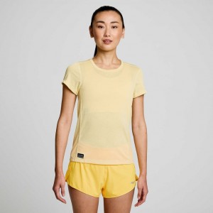 Saucony Stopwatch Short Sleeve Women's T-Shirt Yellow | CANADA YJQOUGK