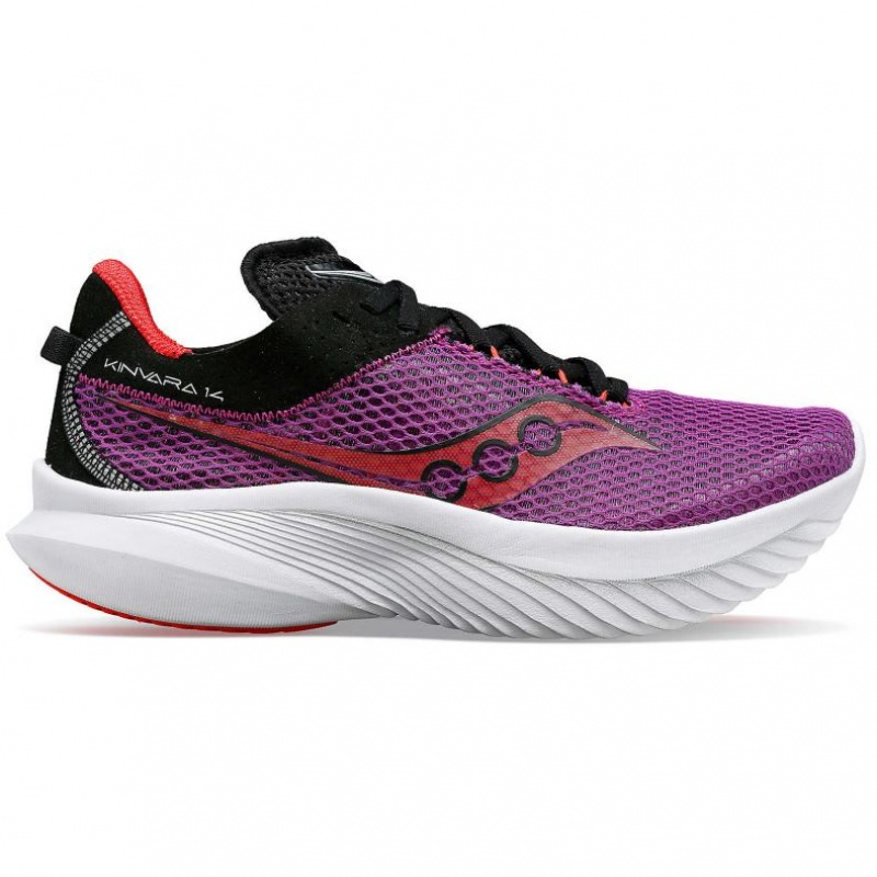 Saucony Kinvara 14 Women\'s Running Shoes Purple | CANADA IHYDPLN