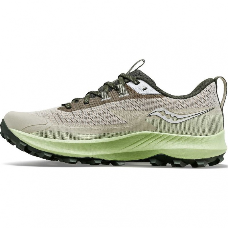 Saucony Peregrine 13 GTX Men's Running Shoes Grey / Mint | CANADA GDWMCJS