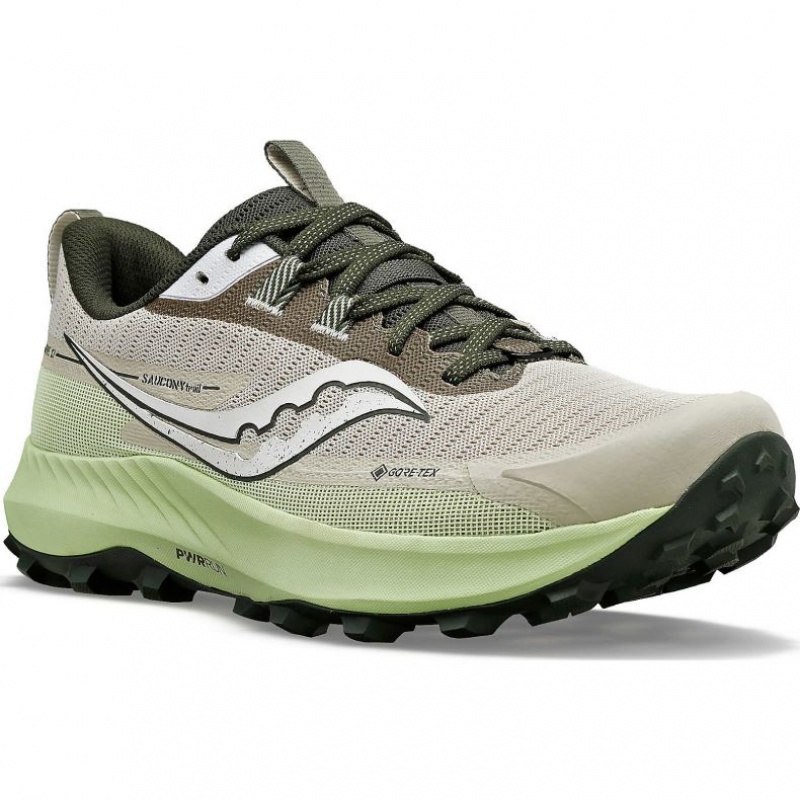 Saucony Peregrine 13 GTX Men's Running Shoes Grey / Mint | CANADA GDWMCJS